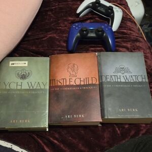 Ari Berk Book Series